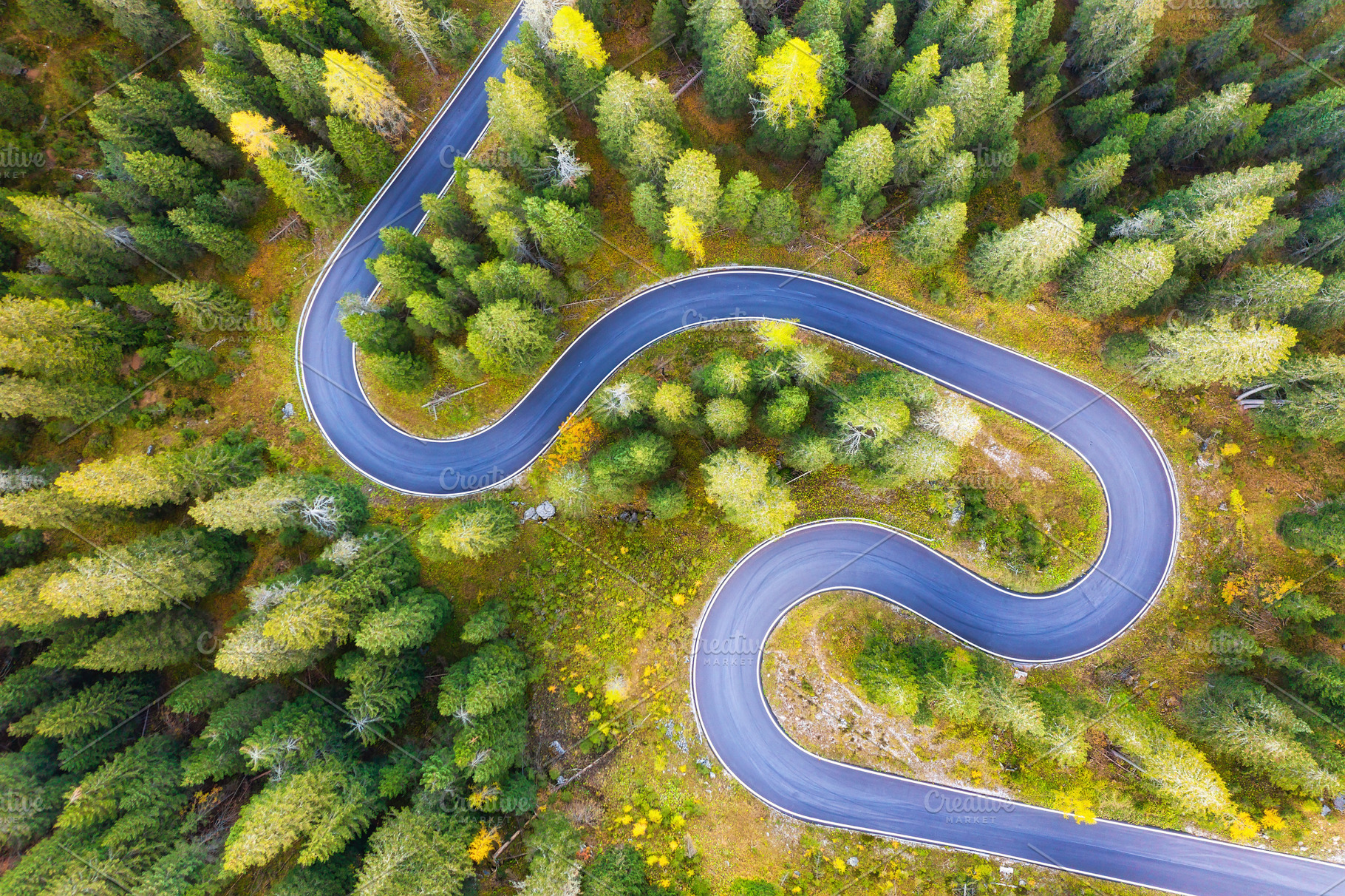 Aerial view on the road and forest, a Transportation Photo by Landscape and travel