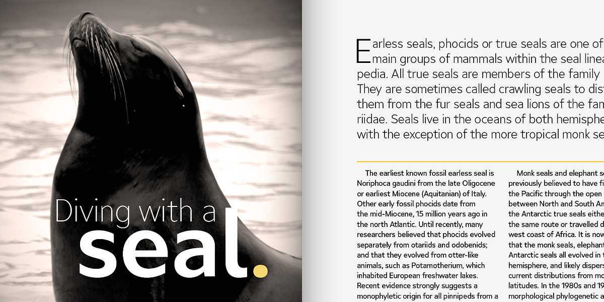 Ardena, a Sans Serif Font by Julien Fincker (Photo 5 of 16)