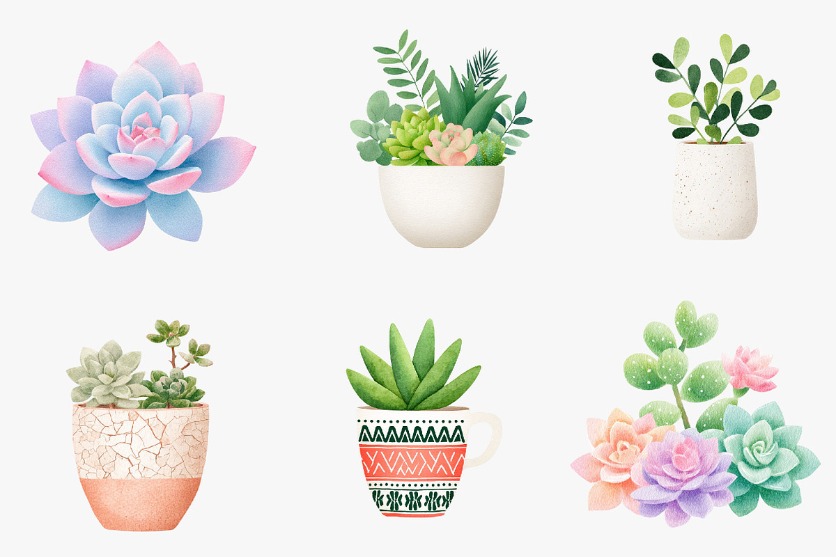 Watercolor Succulent Clipart, an Illustration by CreationArt (Photo 4 of 5)