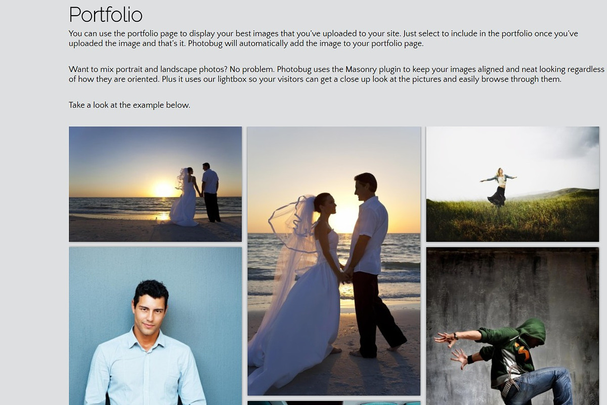Photobug - Photography WP Theme, a WordPress Template by Organized Themes (Photo 2 of 2)