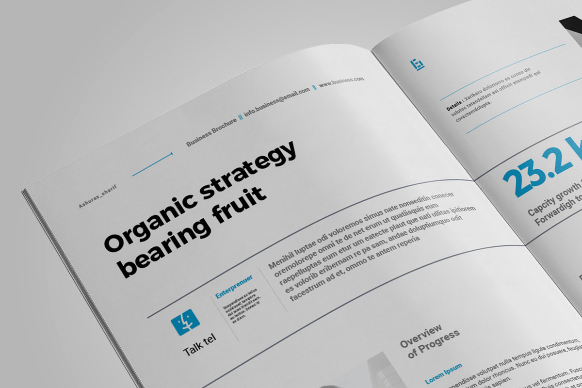 Unite Business Brochure, a Brochure Template by Elite_Standard (Photo 12 of 14)