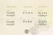 Argo Nova - Sans Serif Font, a Sans Serif Font by Eliezer Grawe (Thumbnail 9 of 10)