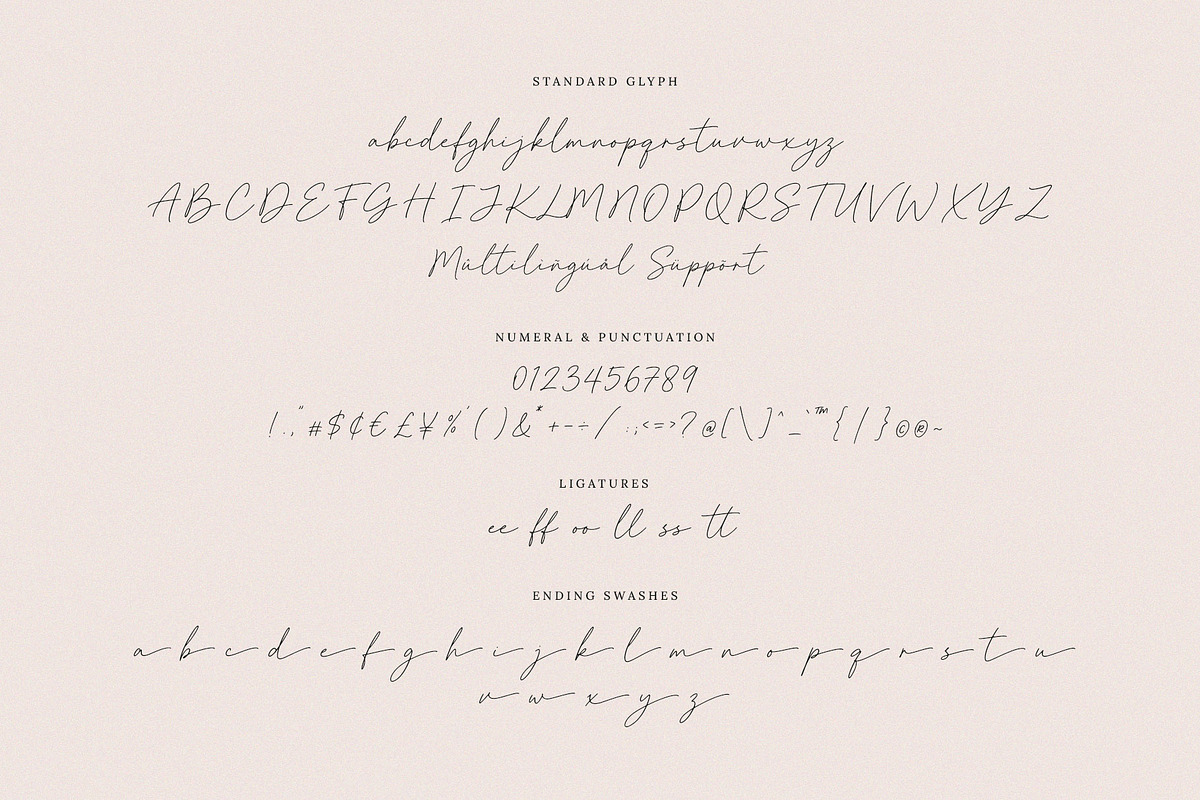 Pinellas Handwritten Script Font, a Script Font by Seagulls Creative (Photo 9 of 9)