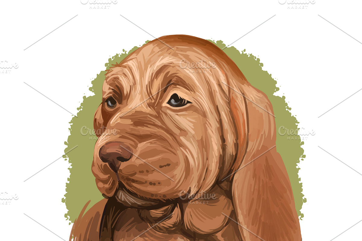 Puppies Dog Breeds Big Bundle 135Pcs, an Animal Illustration by Dneprstock (Photo 65 of 68)