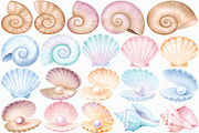 Watercolor Seashells Clipart Set, an Illustration by CropUp Creative (Thumbnail 2 of 4)