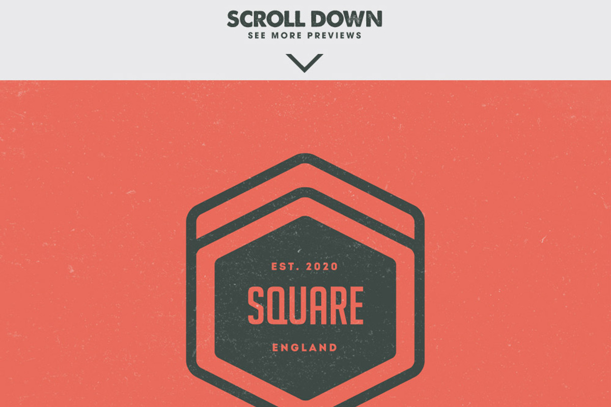 MASSIVE BUNDLE 576 Vintage Logos, a Branding & Logo Template by Design District (Photo 7 of 14)
