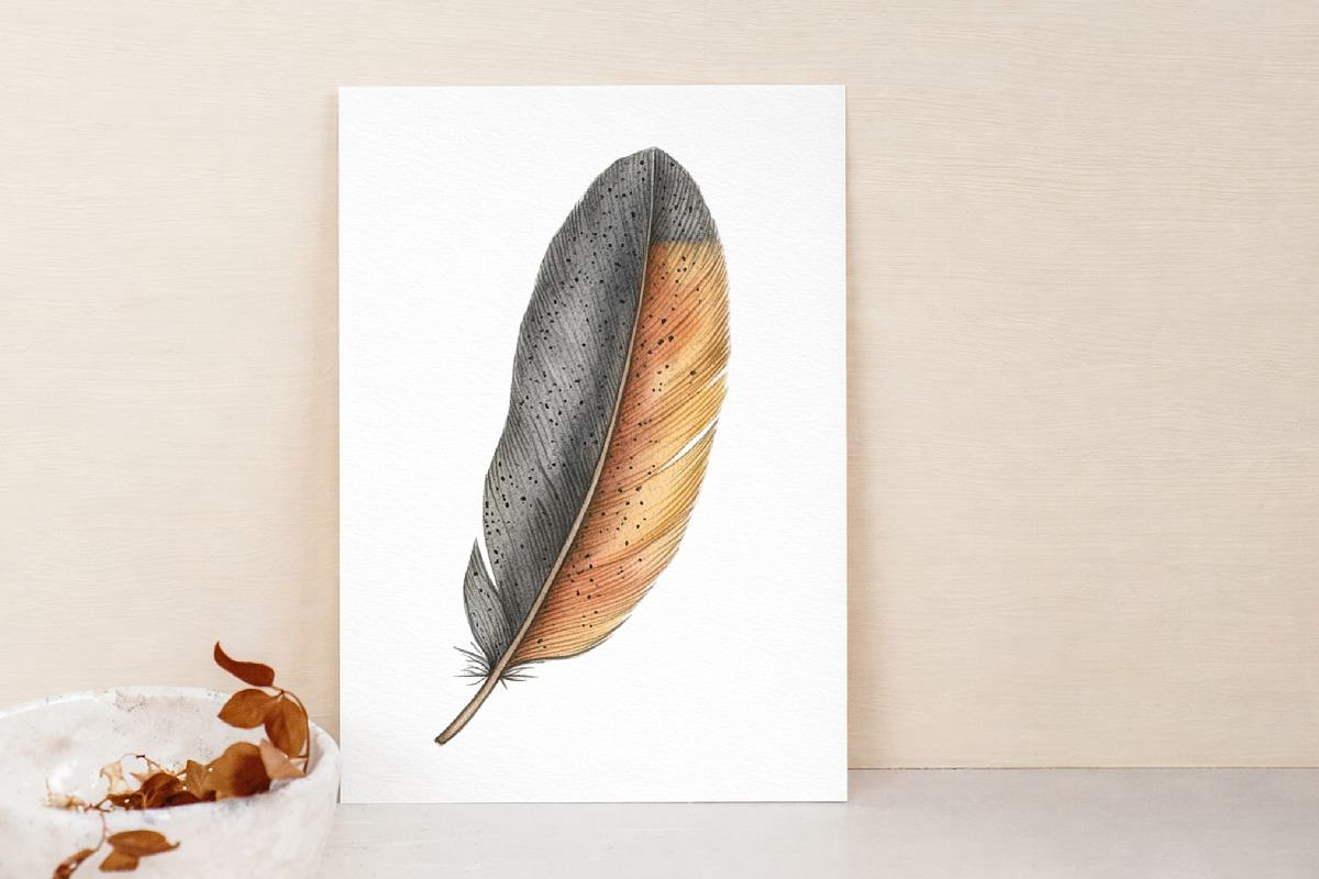 Feather Watercolor Clipart, an Illustration by Libby Wishes (Photo 4 of 7)