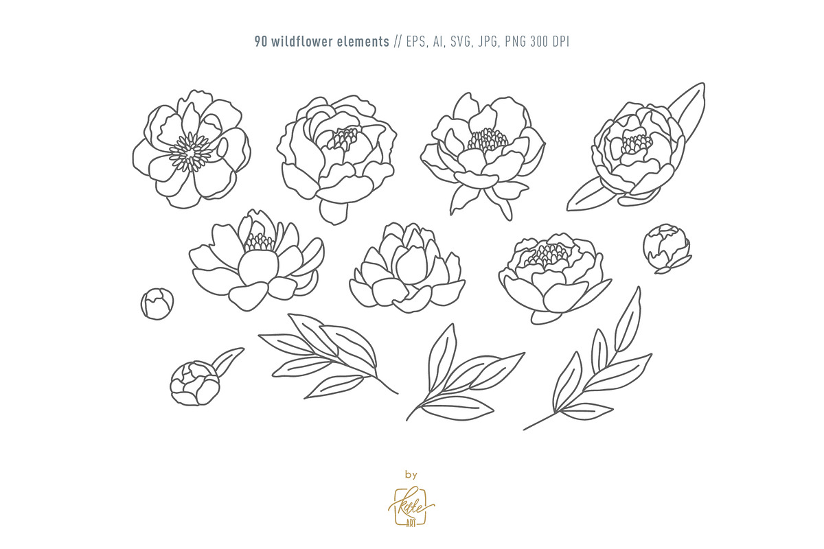 WILDFLOWER LINE ART, an Object Illustration by Kate Art (Photo 6 of 22)