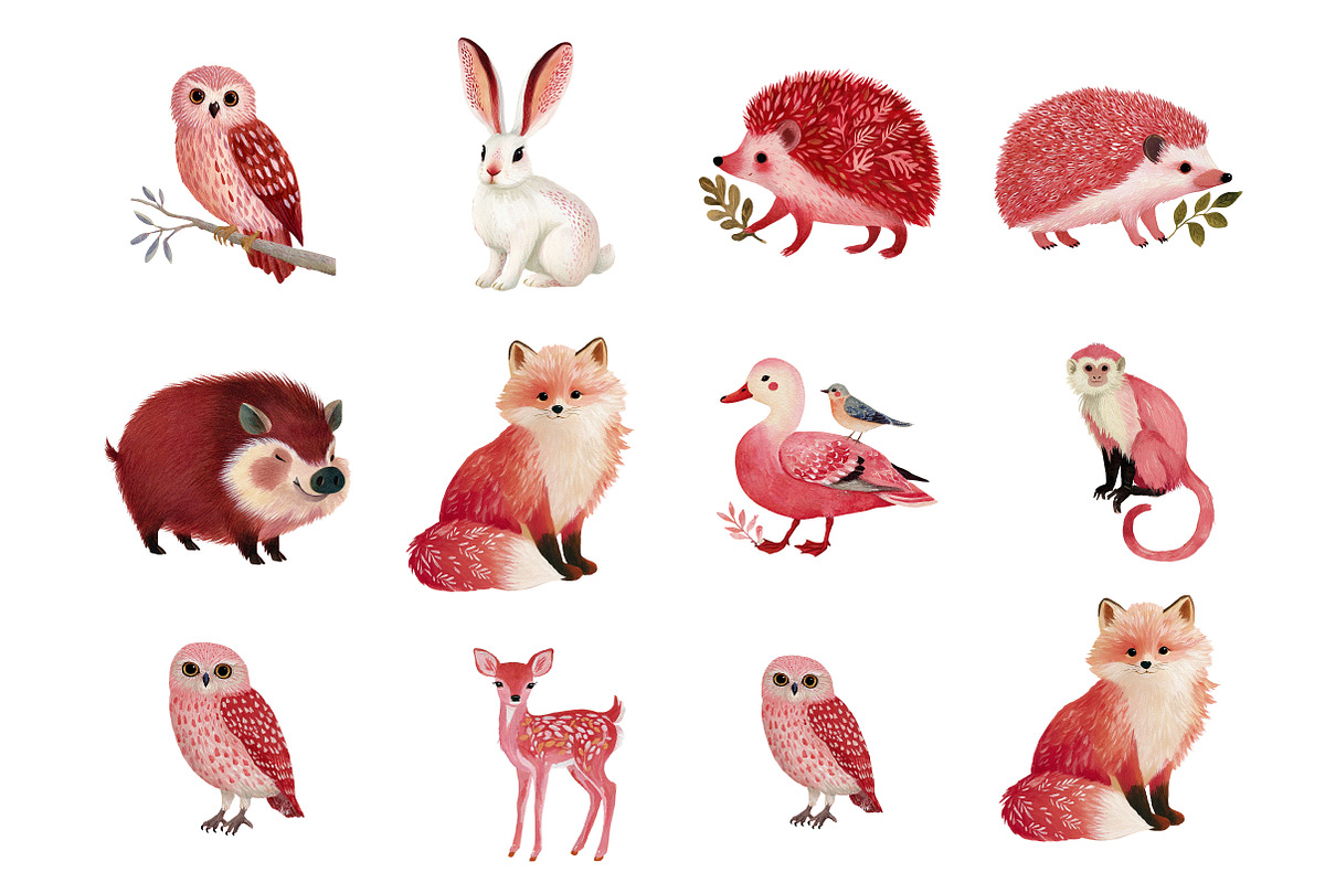 Forest Animals Clipart, an Illustration by DreamArtGraphic (Photo 4 of 4)