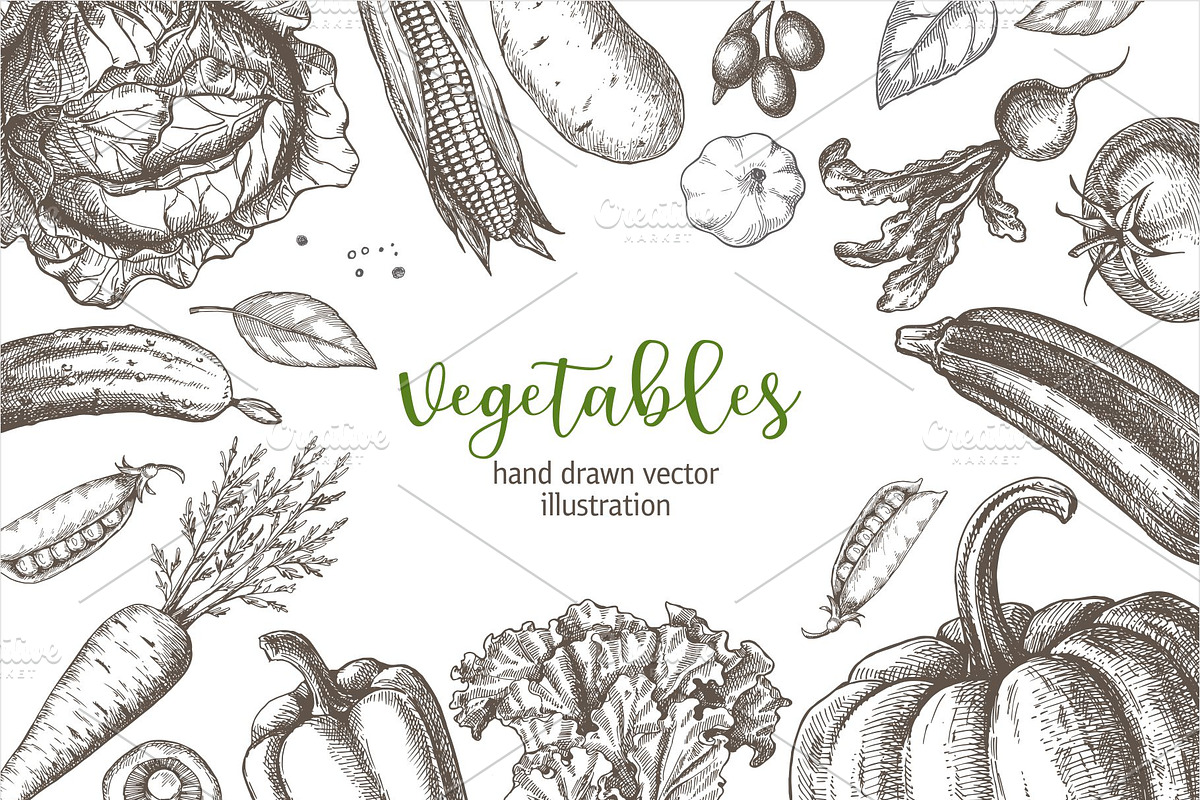 Vegetables. Hand drawn collection., a Food Illustration by natadanko (Photo 7 of 7)