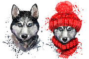 Digital watercolor cute husky, an Animal Illustration by art_mouse (Thumbnail 2 of 6)
