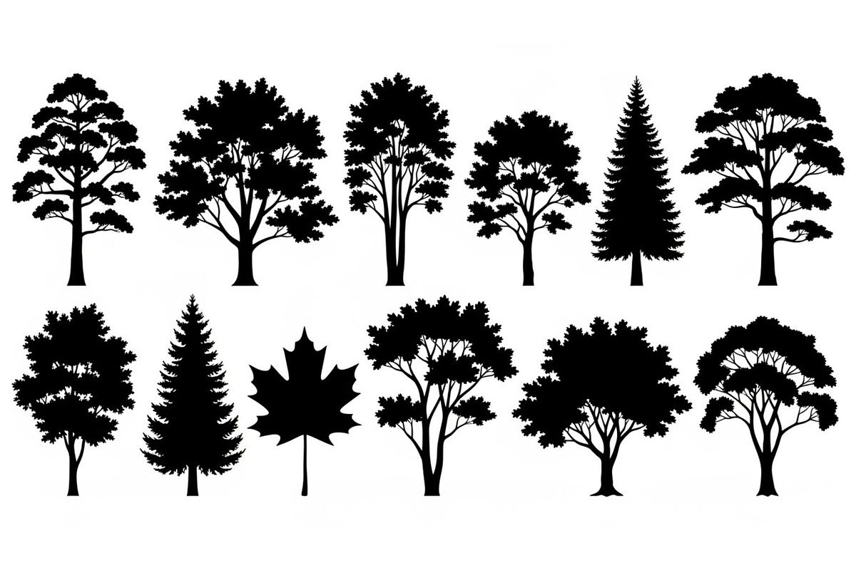 Woodland & Forest Tree Silhouettes B, an Illustration by jahid234 (Photo 7 of 41)