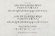 The Almondy Organic Serif, a Serif Font by Letterhend Studio (Thumbnail 10 of 11)