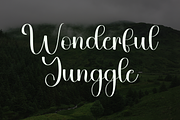 Jungle Highland, a Handwritten Font by InermediaSTUDIO (Thumbnail 4 of 8)