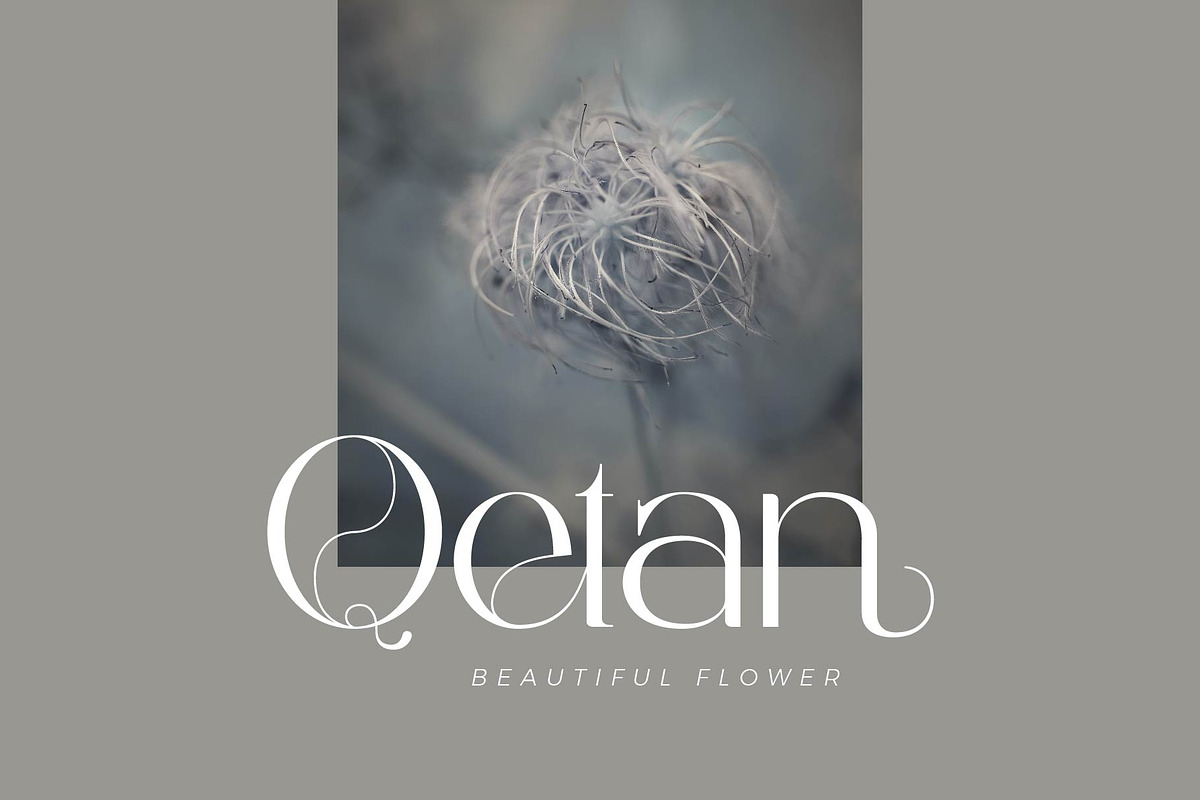 Bagelan - Modern Sans Font, a Sans Serif Font by Aqeel_Art (Photo 3 of 7)