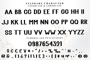 Baby Chunky, a Script Font by FreshTypeINK (Thumbnail 5 of 8)
