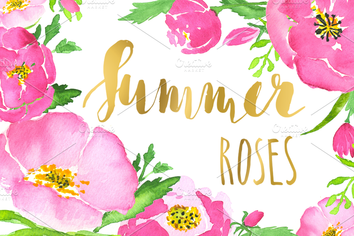 Pink roses watercolor clip art, an Illustration by mcherevan (Photo 1 of 4)