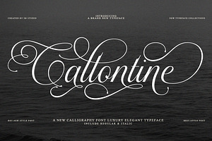 Callontine Script Pro, a Script Font by IM Studio