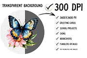 Watercolor butterflies clipart, an Illustration by Craft Nest (Thumbnail 2 of 11)