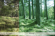 Forest Tone Lightroom Presets, an Action Add-On by N A N D U Z D E S I G N (Thumbnail 8 of 10)