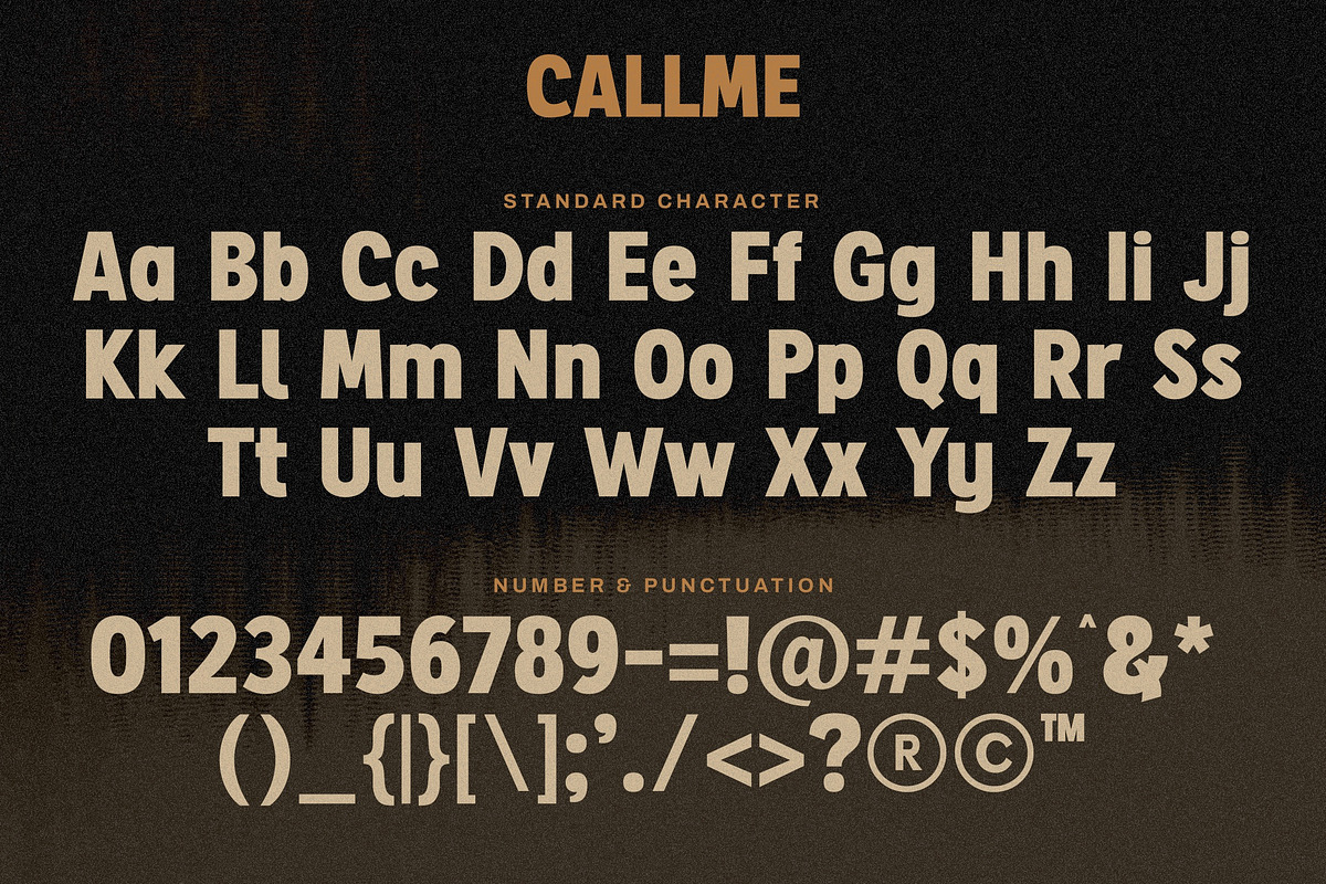 Callme - Modern Bold Font, a Sans Serif Font by Lettersiro (Photo 4 of 9)