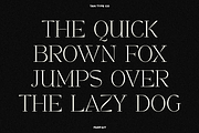 TAN - PARFAIT, a Serif Font by TanType (Thumbnail 13 of 21)