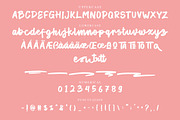 The Patteroni - Script Font, a Script Font by NTC Graphic (Thumbnail 5 of 6)