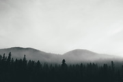 Photo Pack: Blue Forest Fog, a Nature Photo by Gradivis (Thumbnail 4 of 4)