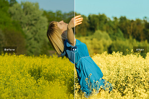 Canola Pro Lightroom Presets