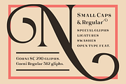 Gorni typeface, a Serif Font by MaGo (Thumbnail 2 of 10)