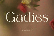 Gadies Elegant Serif Font