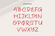 Dhel Fyn | Handwriting Script Font, a Script Font by gracetype_studio (Thumbnail 9 of 13)