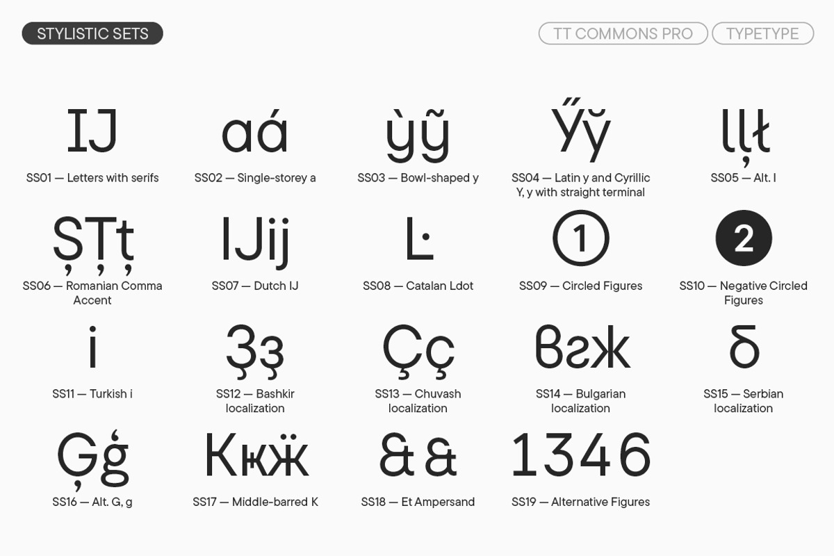 TT Commons Pro Basic, a Sans Serif Font by TypeType (Photo 14 of 15)