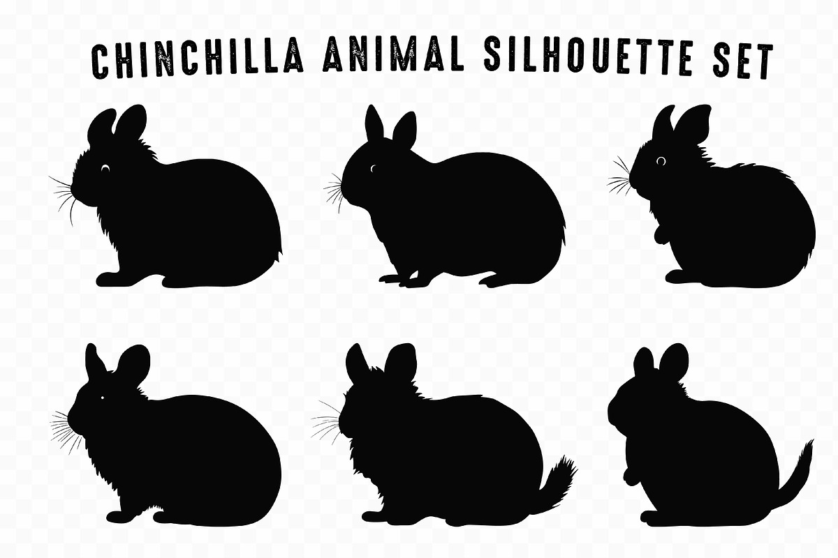 Chinchilla Animal Silhouette SVG Set, an Animal Illustration by Gfx Expert Team (Photo 2 of 3)