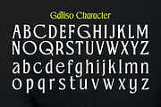 Galliso, a Serif Font by Dora Typefoundry (Thumbnail 10 of 17)