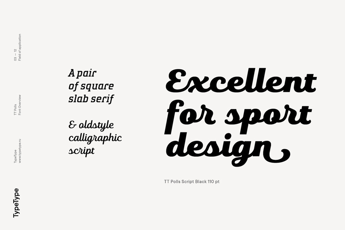 TT Polls, a Slab Serif Font by TypeType (Photo 3 of 18)
