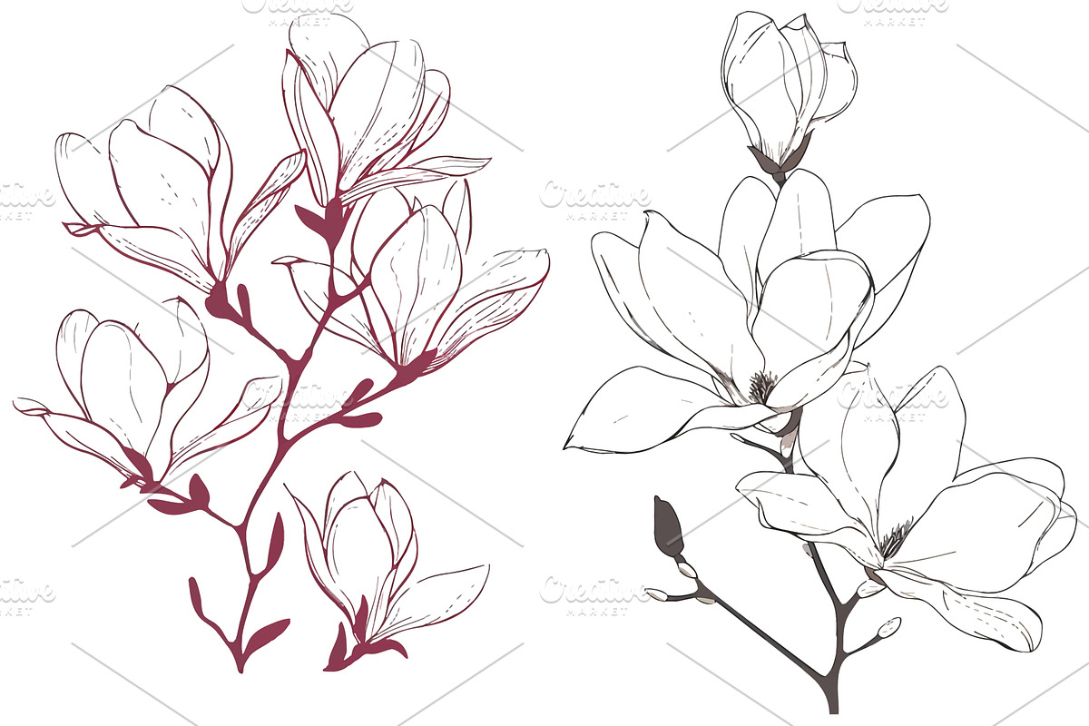 One line magnolia flowers.Beautiful, an Object Illustration by ZinetroN