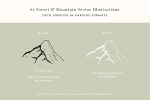 Forest Mountain Vector Illustrations