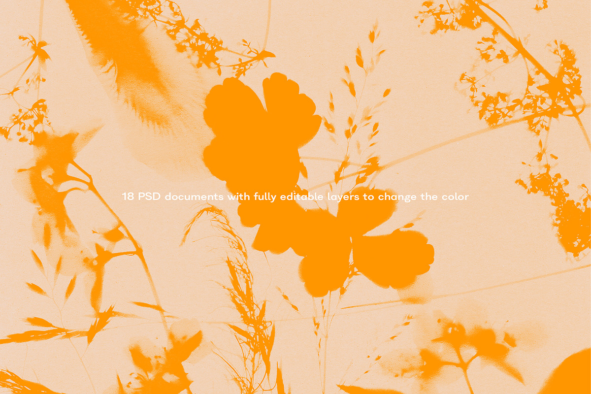 FLORAL Cyanotype, a Texture Graphic by nkate (Photo 2 of 10)