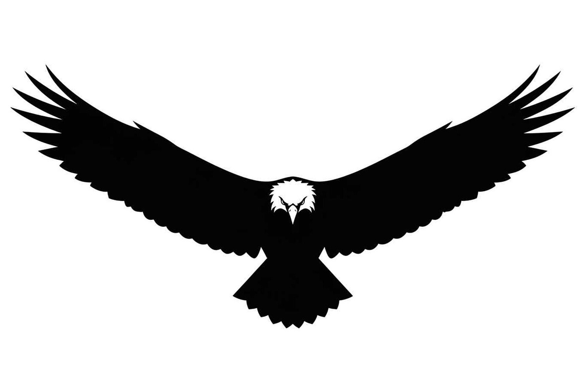 50 Flying Eagle Silhouette Vector Bu, an Illustration by Designs_River (Photo 35 of 51)