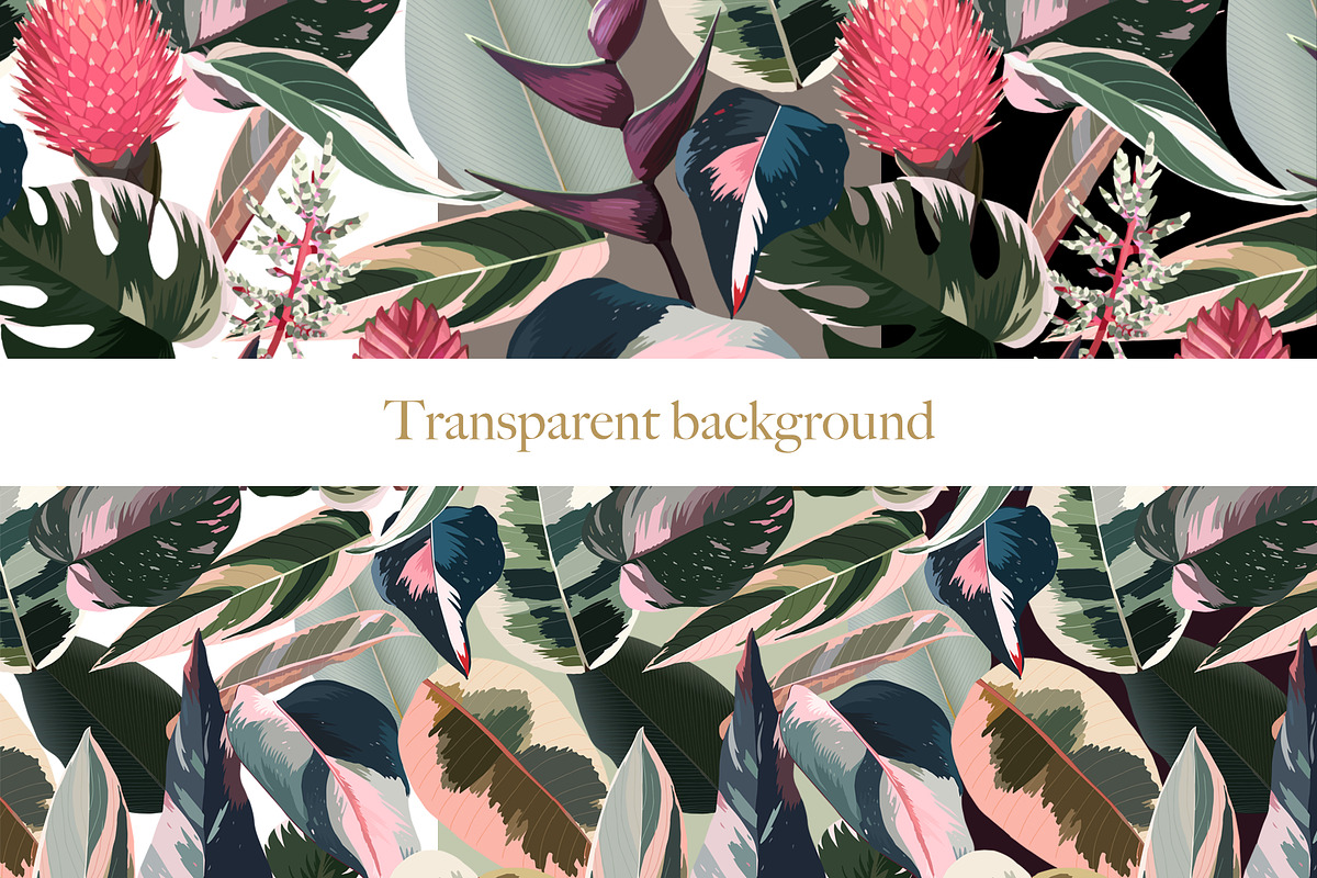 Pink tropical frames and patterns, an Illustration by marie dricot (Photo 15 of 15)