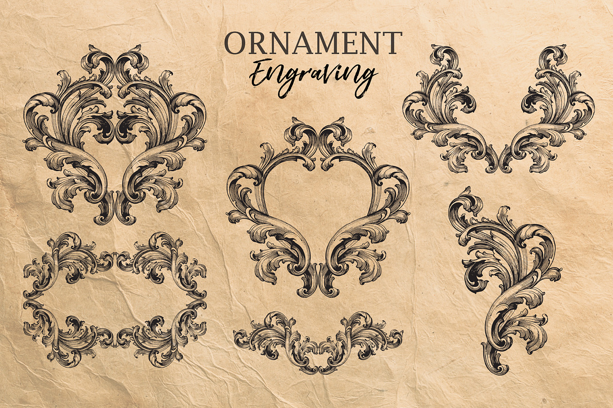 Ornament elements for decorate, a Decorative Illustration by Samira (Photo 5 of 5)
