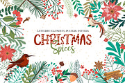 Christmas Spices collection, a Decorative Illustration by Mio Buono (Thumbnail 1 of 7)