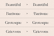 The Heart Mighty - Elegant Serif, a Serif Font by RockboyStd (Thumbnail 7 of 12)