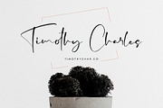 Tefang Island, a Script Font by pineungtype (Thumbnail 4 of 9)