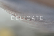 Delicate | 20 Feather Photos, a Nature Photo by Melanie Helena (Thumbnail 6 of 20)