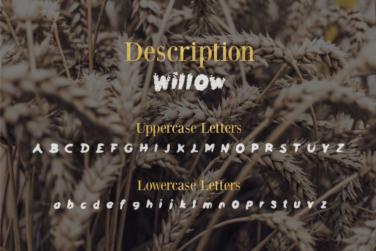 Willow Font - 50% Off preview 2