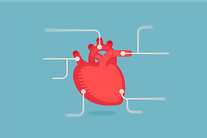 Heart infographic & icon set