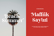 Baithe-Modern Retro Serif, a Serif Font by BOOSH Studio (Thumbnail 5 of 17)