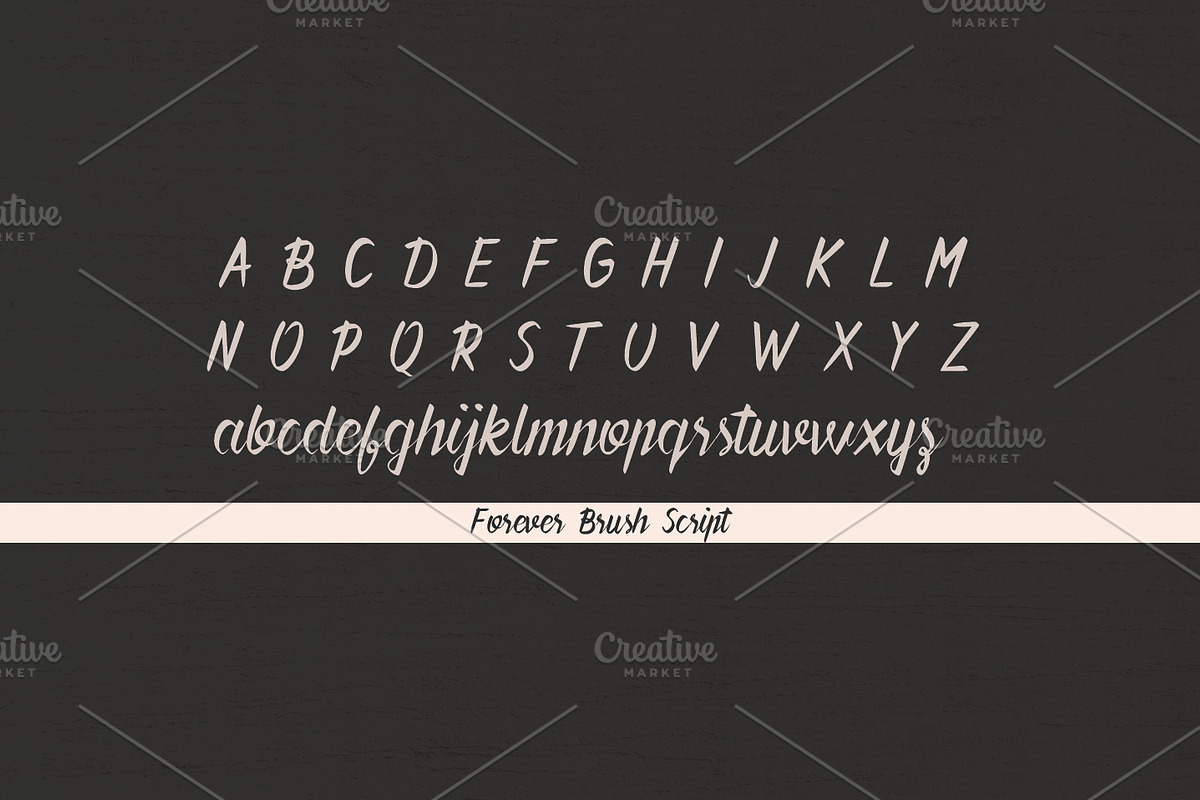 Forever Brush Script preview 4
